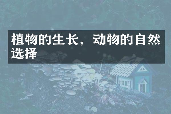 植物的生长，动物的自然选择