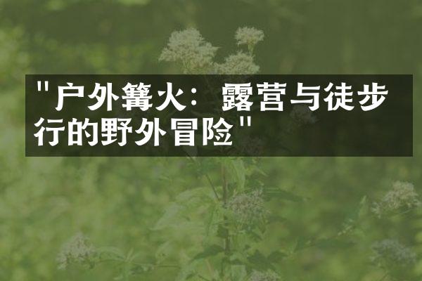 "户外篝火：露营与徒步旅行的野外冒险"