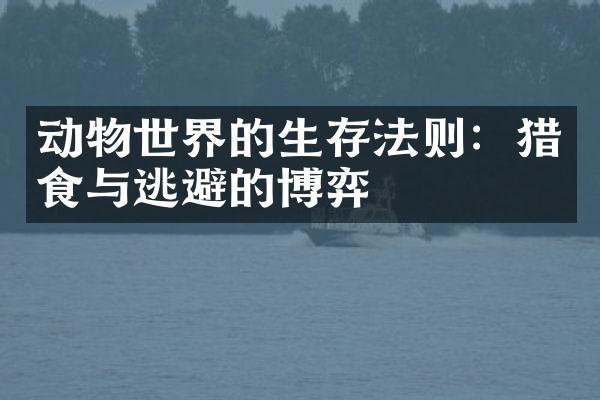 动物世界的生存法则：猎食与逃避的博弈