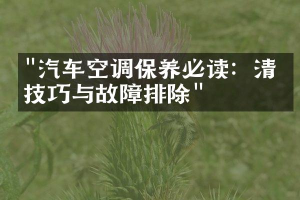 "汽车空调保养必读：清洁技巧与故障排除"