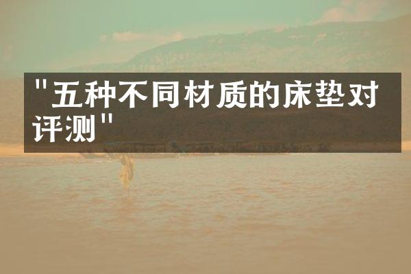 "五种不同材质的床垫对比评测"