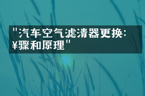 "汽车空气滤清器更换：步骤和原理"