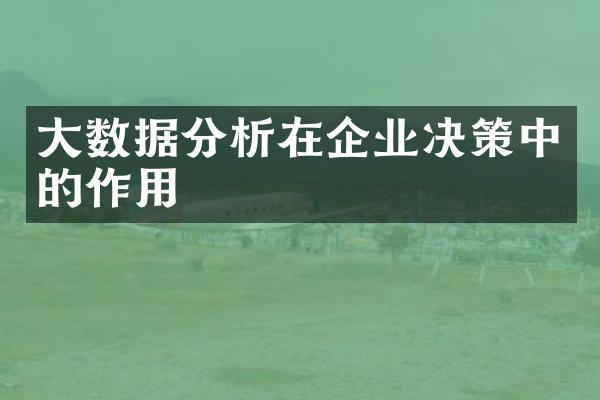 大数据分析在企业决策中的作用