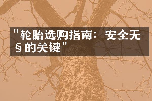 "轮胎选购指南：安全无忧的关键"