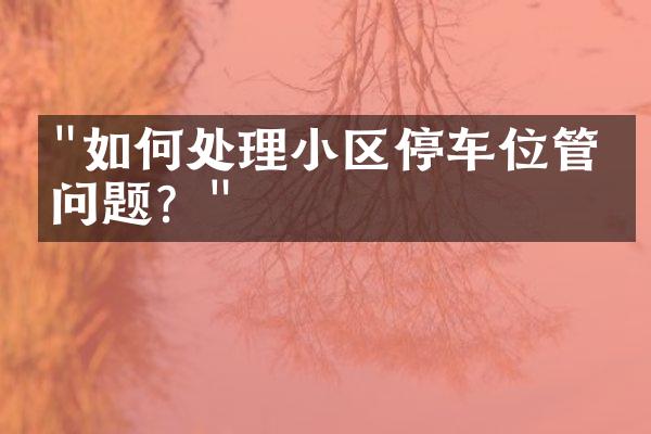 "如何处理小区停车位管理问题？"