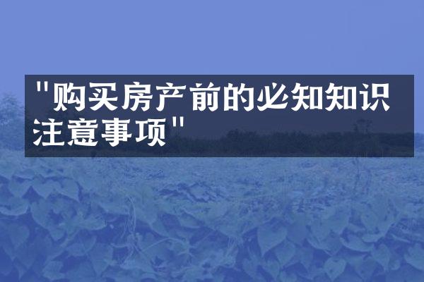"购买房产前的必知知识与注意事项"