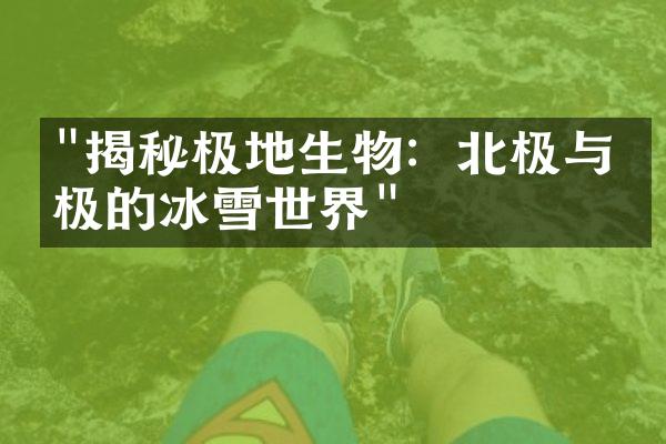 "揭秘极地生物：北极与南极的冰雪世界"