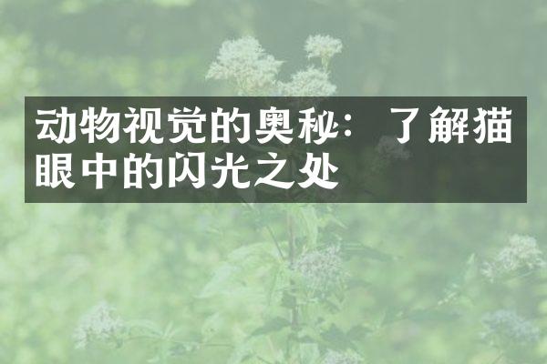 动物视觉的奥秘：了解猫眼中的闪光之处
