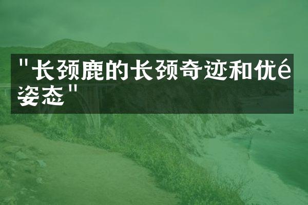 "长颈鹿的长颈奇迹和优雅姿态"