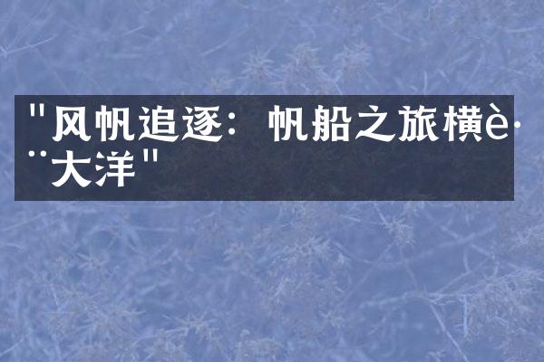 "风帆追逐：帆船之旅横跨大洋"