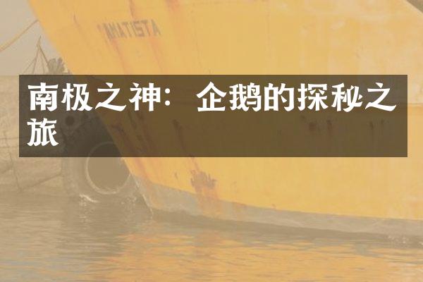 南极之神：企鹅的探秘之旅