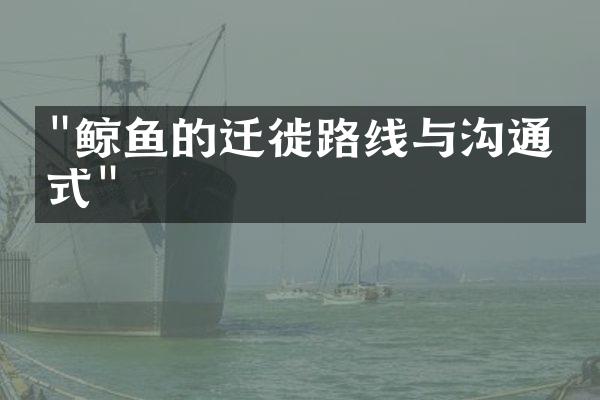 "鲸鱼的迁徙路线与沟通方式"