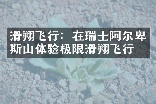 滑翔飞行：在瑞士阿尔卑斯山体验极限滑翔飞行