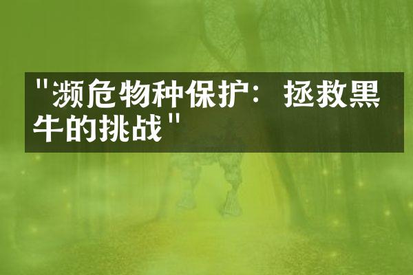 "濒危物种保护：拯救黑犀牛的挑战"