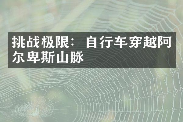 挑战极限：自行车穿越阿尔卑斯山脉