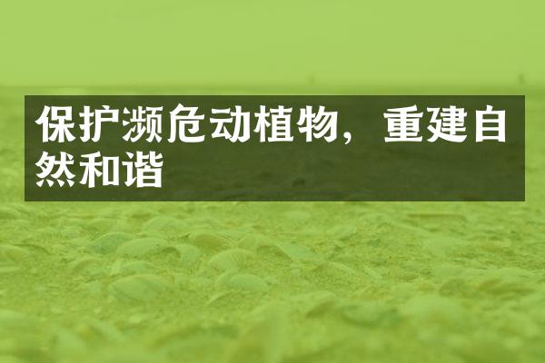 保护濒危动植物，重建自然和谐