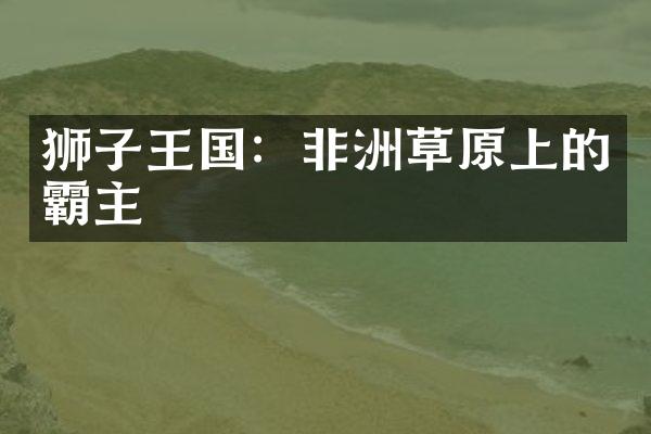 狮子王国：非洲草原上的霸主