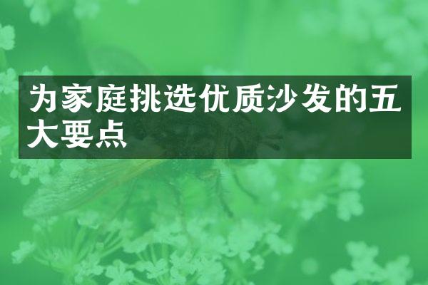 为家庭挑选优质沙发的五大要点