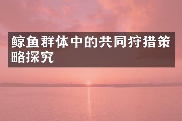 鲸鱼群体中的共同狩猎策略探究