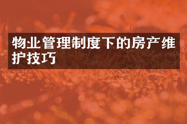 物业管理制度下的房产维护技巧