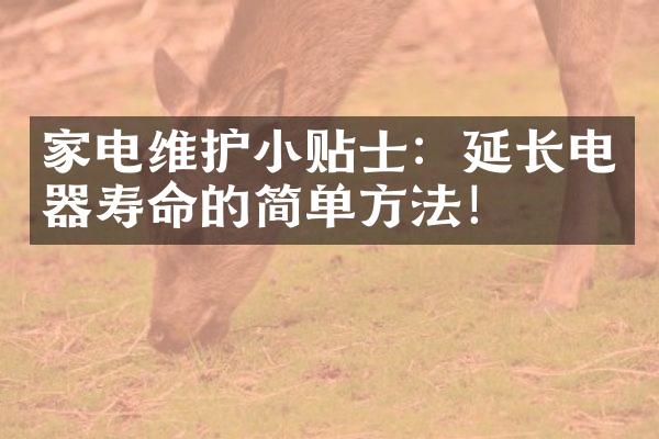 家电维护小贴士：延长电器寿命的简单方法！