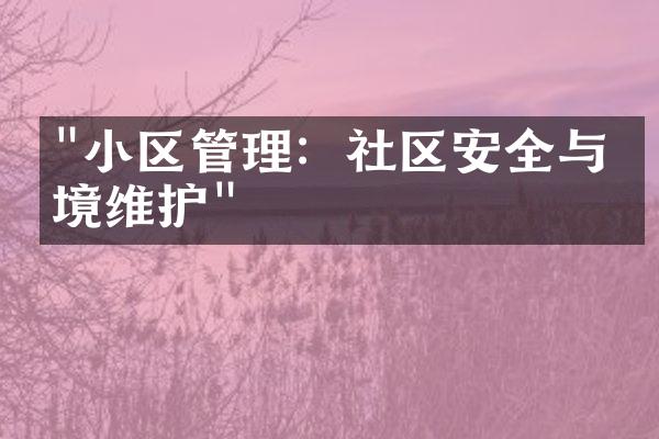 "小区管理：社区安全与环境维护"