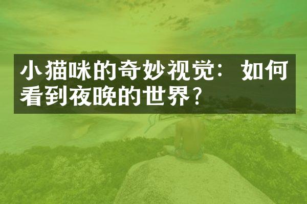 小猫咪的奇妙视觉：如何看到夜晚的世界？