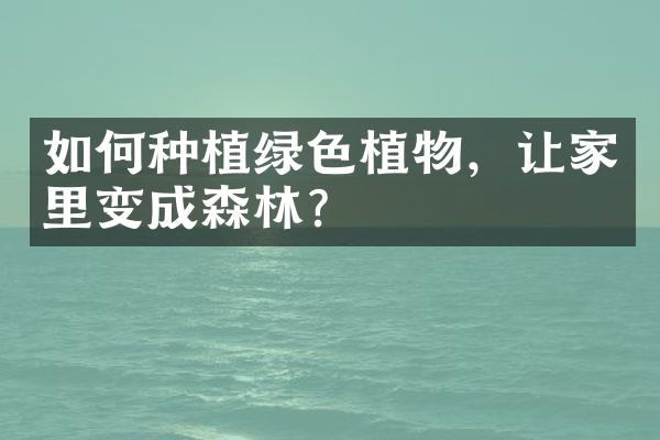 如何种植绿色植物，让家里变成森林？