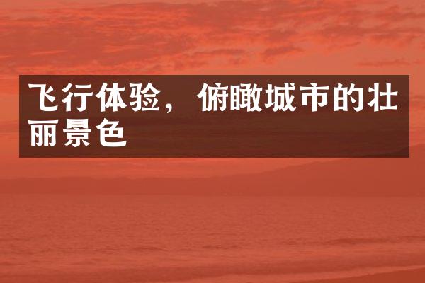 飞行体验，俯瞰城市的壮丽景色