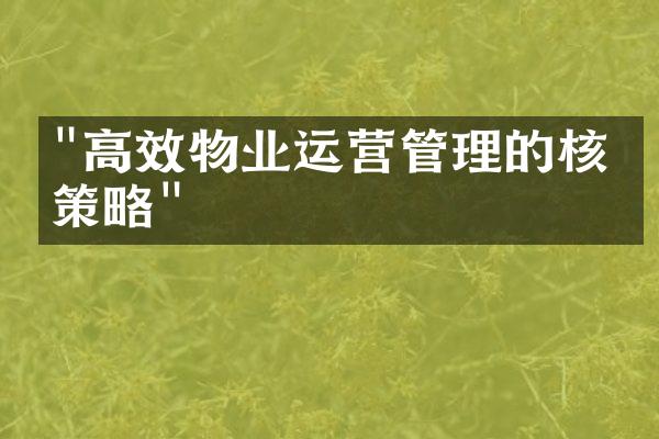 "高效物业运营管理的核心策略"