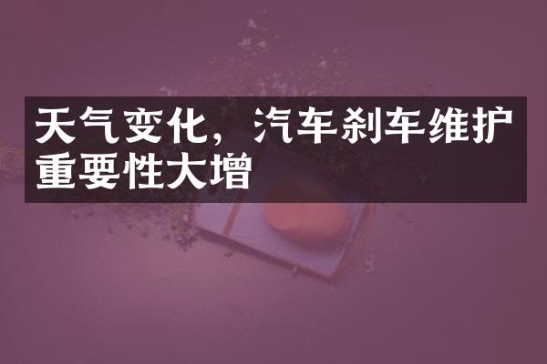 天气变化，汽车刹车维护重要性大增