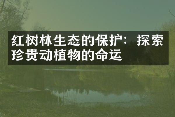 红树林生态的保护：探索珍贵动植物的命运