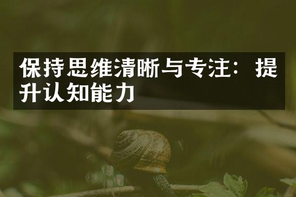保持思维清晰与专注：提升认知能力