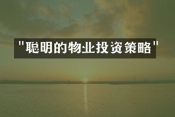 "聪明的物业投资策略"