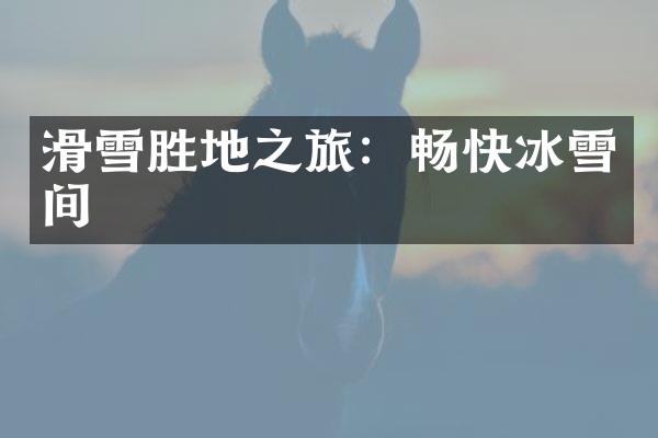 滑雪胜地之旅：畅快冰雪间