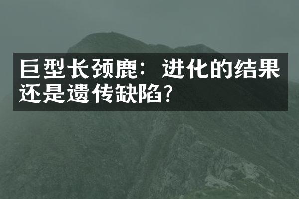 巨型长颈鹿：进化的结果还是遗传缺陷？