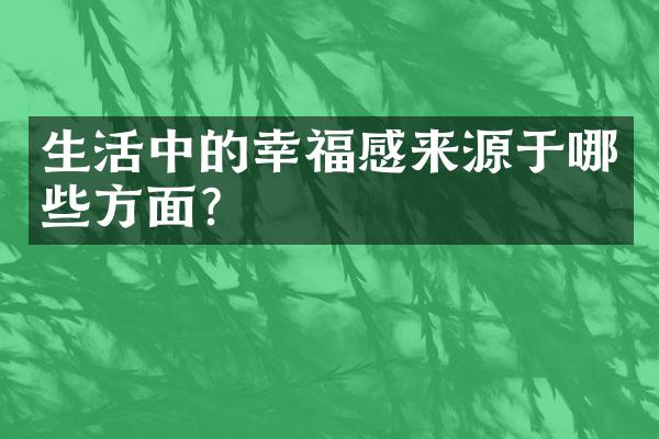 生活中的幸福感来源于哪些方面？