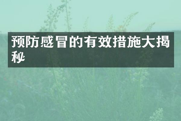 预防感冒的有效措施大揭秘