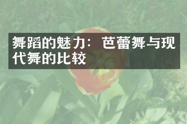 舞蹈的魅力：芭蕾舞与现代舞的比较