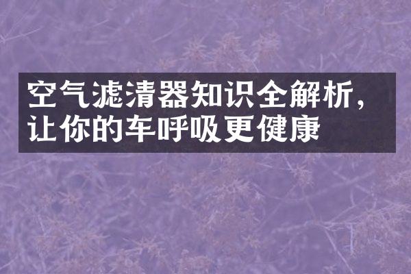 空气滤清器知识全解析，让你的车呼吸更健康