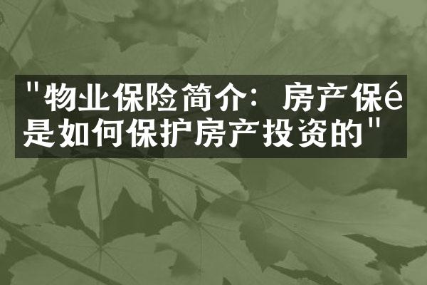 "物业保险简介：房产保险是如何保护房产投资的"