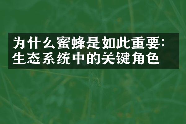 为什么蜜蜂是如此重要：生态系统中的关键角色