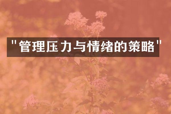 "管理压力与情绪的策略"