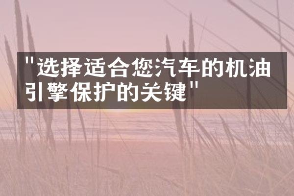 "选择适合您汽车的机油：引擎保护的关键"
