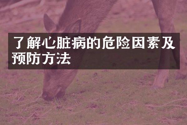 了解心脏病的危险因素及预防方法