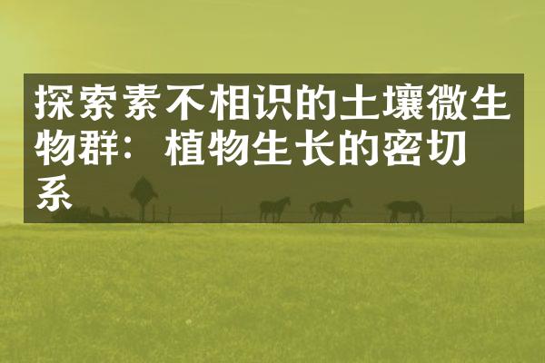 探索素不相识的土壤微生物群：植物生长的密切关系