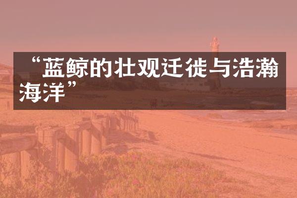 “蓝鲸的壮观迁徙与浩瀚海洋”