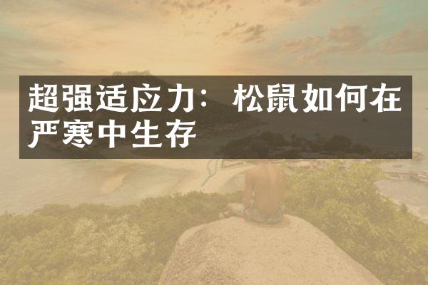 超强适应力：松鼠如何在严寒中生存