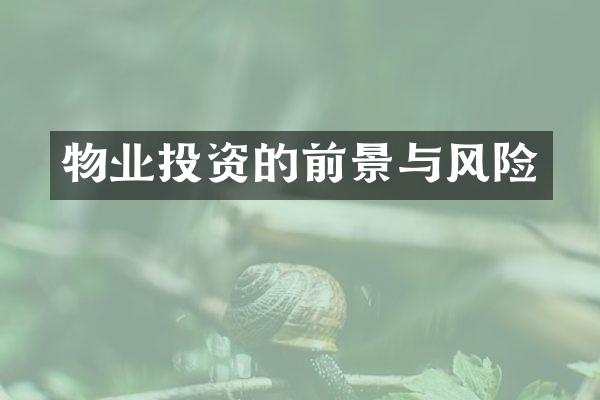 物业投资的前景与风险