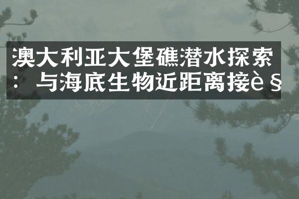 澳大利亚大堡礁潜水探索：与海底生物近距离接触